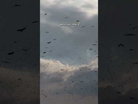 قل يجمع بيننا ربنا ثم يفتح بيننا بالحق وهو الفتاح العليم الشيخ محمد صديق المنشاوي