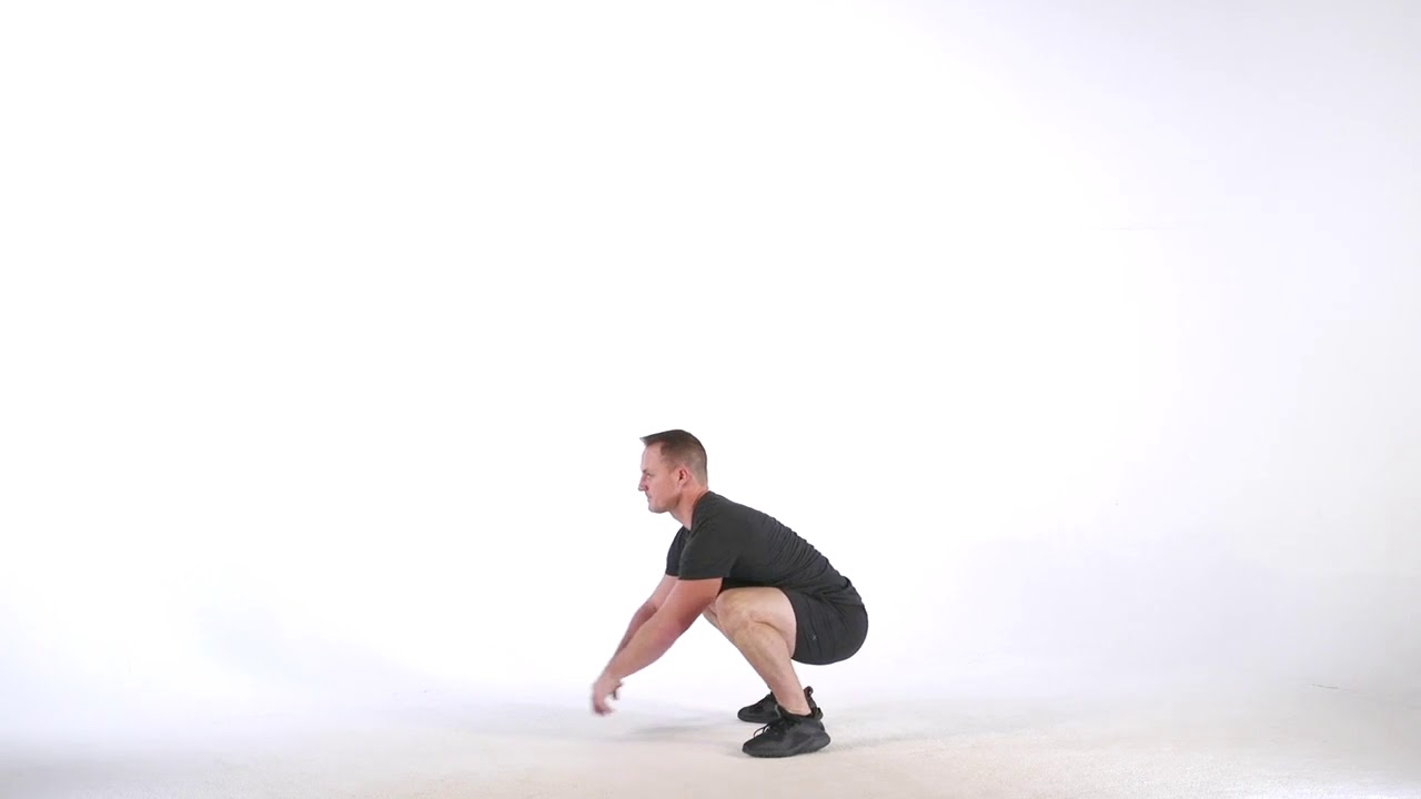 Gorilla Walks YouTube