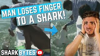 RIDICULOUS Shark Viral Videos!