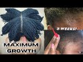 GROW EDGES IN 2 WEEKS USING THIS! | POWERFUL THICK HAIR GROWTH METHOD | THEAEBONY