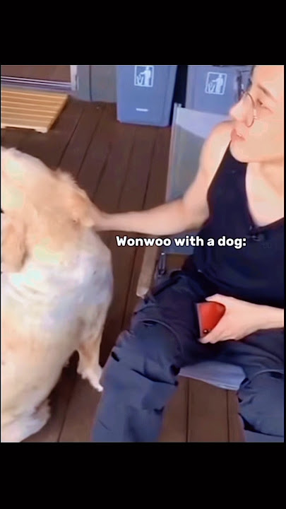 Even his own dog ran away from him🐶😂 #seventeen #wonwoo #mingyu #jeonwonwoo #kimmingyu #svt #foryou