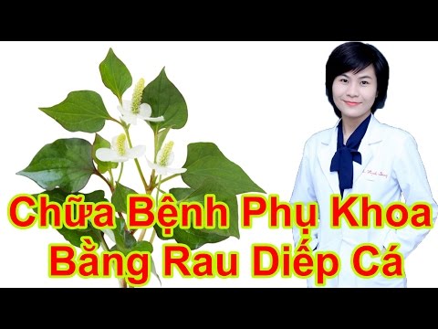 Chữa bệnh phụ khoa bằng thuốc nam & Hướng dẫn cách chữa bệnh phụ khoa bằng rau diếp cá tại nhà