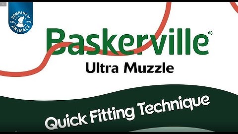 Quick fitting of the Baskerville Ultra Muzle