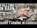 Dealing With A Frozen Dairy Barn! (Part 1)