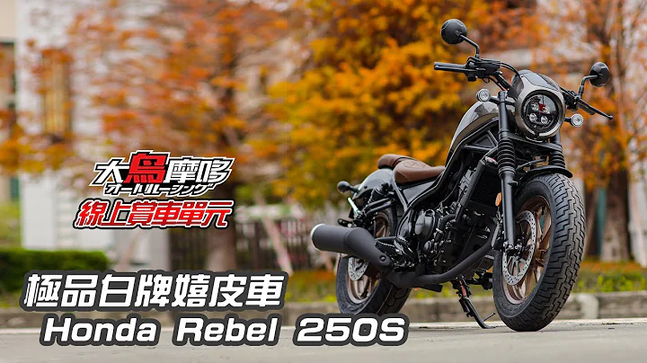 | 极品白牌嬉皮车 Honda Rebel 250S | 【线上赏车】【大鸟摩哆 】 - 天天要闻