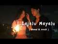 Lajalu mayalu  slowed  reverb  urgen dong  annu chaudhary  s l o w e d nepal