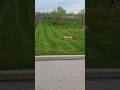 How do these stripes look? on a hill with no sun reflecting