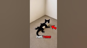 Top 5 SPECIES drawing become real life animals ✍️😱😱