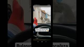 Kedi Zarar Veren Adam Sonu