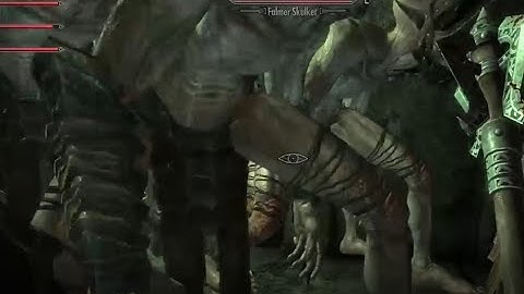 The Skyrim Together Experience