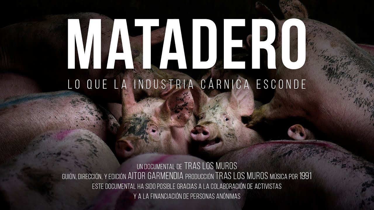 Download Matadero. Lo que la industria cárnica esconde. // Documental.