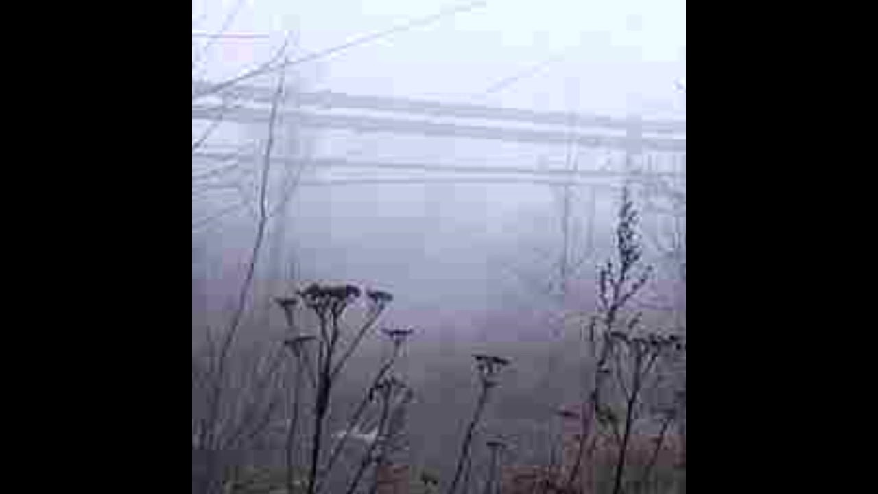 [free] lil peep x mysticphonk x greaf type beat 