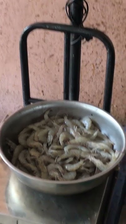 Купила креветки 🦐 в Индии #гоа #индия #арамболь #креветка - YouTube