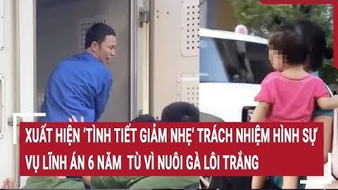 Vụ lĩnh án 6 năm  tù vì nuôi gà lôi trắng: Xuất hiện ‘tình tiết giảm nhẹ’ trách nhiệm hình sự