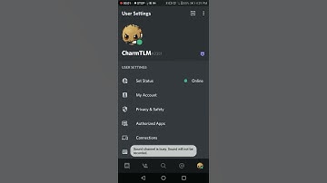 How To Get Ultra-Light Theme On Discord Mobile