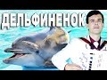 😢БОЖЕ, СЛЕЗЫ ПРОСТО РЕКОЙ!!! (дворовая песня - Дельфиненок)