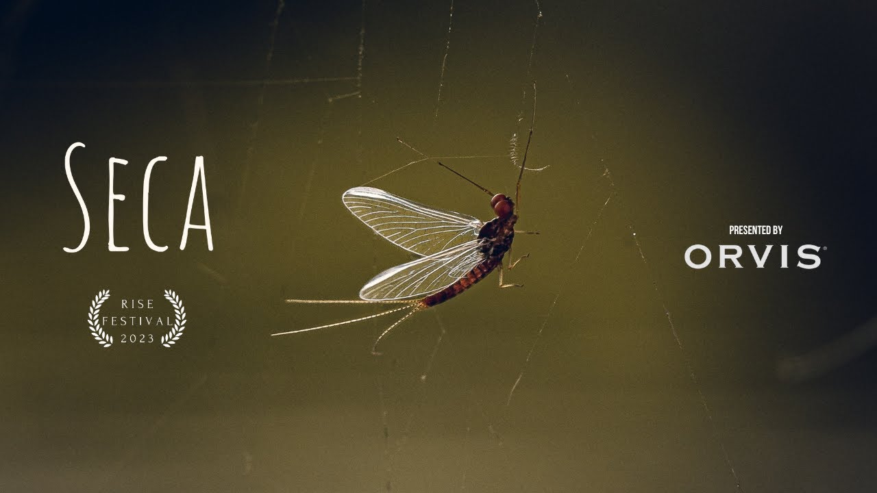 SECA - Rise Festival Award Winner 2023 - A Fly Fishing Adventure in Spain