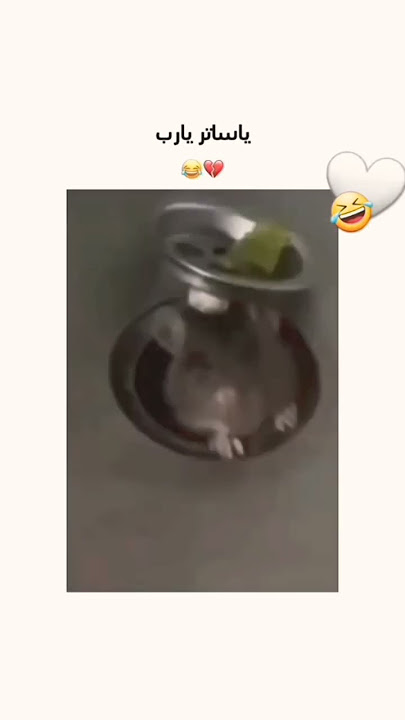 Sigma jinsi quvurdan chiqdimi