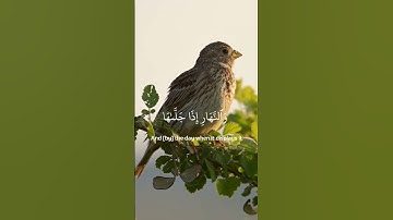Surah Ash Shams (1-9) - سورة الشمس #hajj #eid