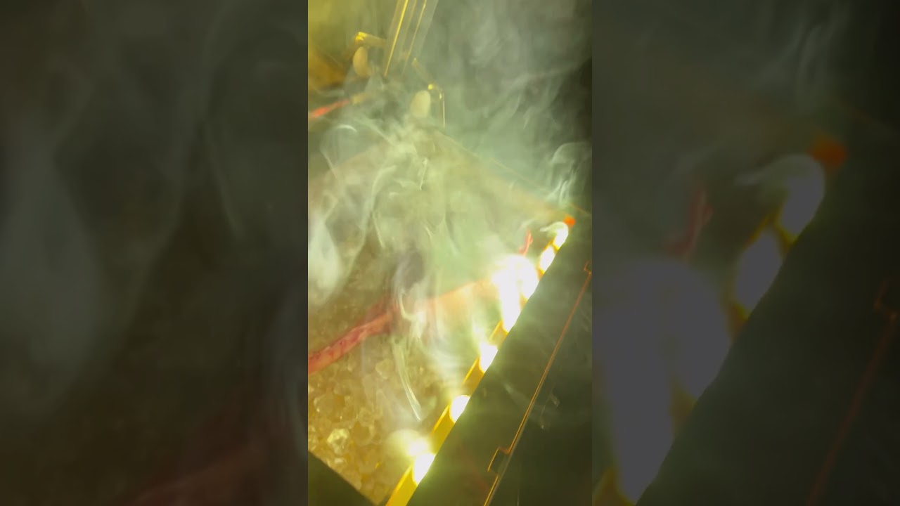 Papi Steak is insane!