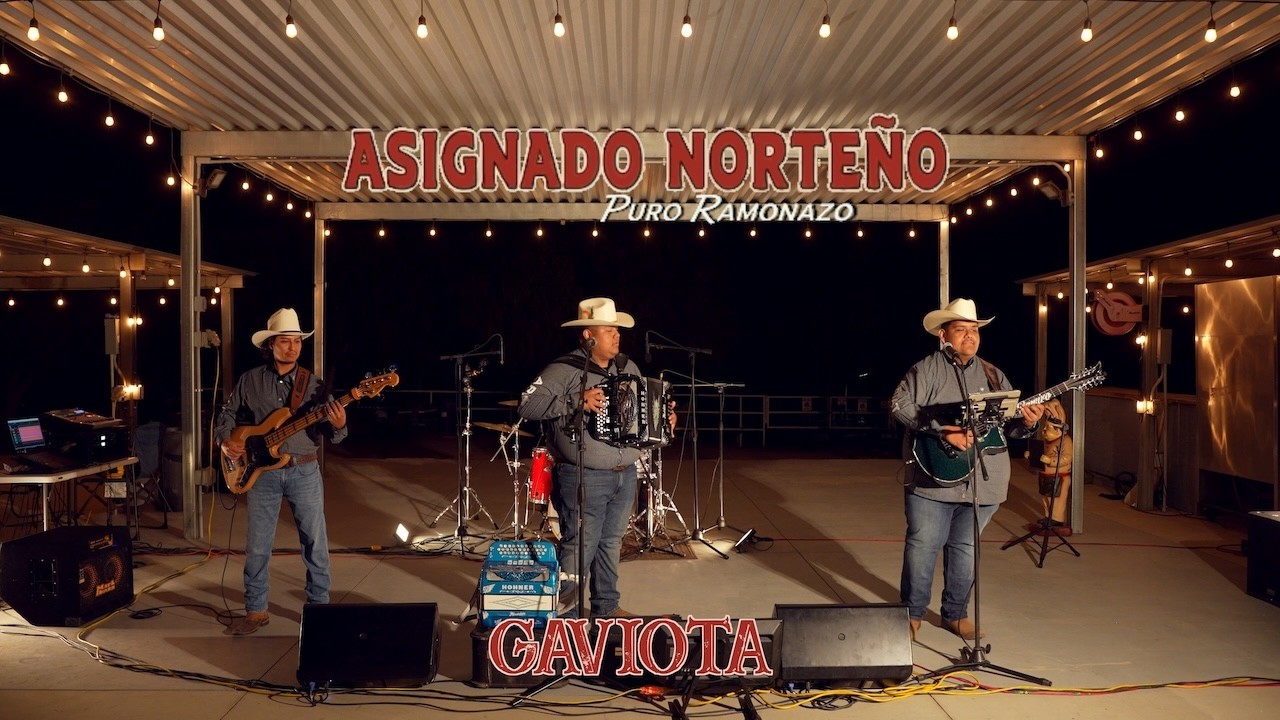 Asignado Norteño - Gaviota (Video Official)