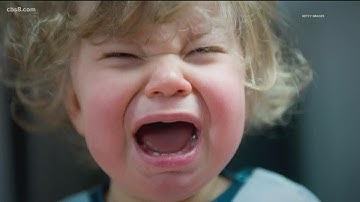 Author of the "Tantrum Survival Guide" shares updated science on handling toddler tantrums