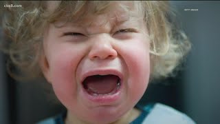 Author Of The Tantrum Survival Guide Shares Updated Science On Handling Toddler Tantrums