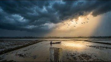 Floods, Rivers & the Great Bird Migration