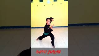 Ap Pasang Pencak Silat 1 Sampai 12 Kps Nusantara