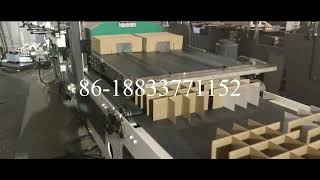 Automatic Carton Partition Assembler
