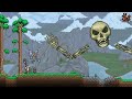 Finding the PERFECT rare Summon! Terraria Calamity Summoner Let's Play! #16