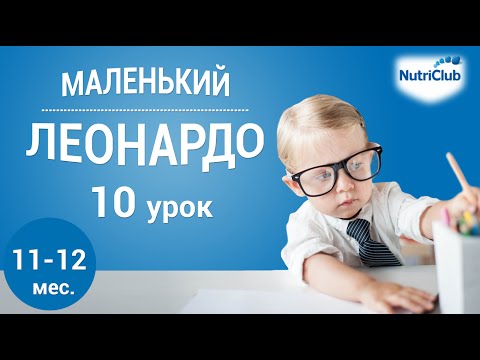 Интеллектуальное развитие ребенка 11-12 месяцев по методике "Маленький Леонардо". Урок 10