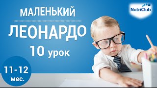 Интеллектуальное развитие ребенка 11-12 месяцев по методике "Маленький Леонардо". Урок 10 Интеллектуальное развитие ребенка 11-12 месяцев по методике "Маленький Леонардо". Урок 10