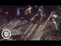 Очевидное - невероятное. Об археологических находках в Новгороде | Очевидное - невероятное (1983)