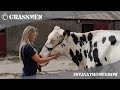 GRASSMEN #StayAtHomeShow - Livestock with Kirstie - Ards Holsteins