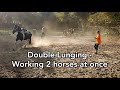 Groundwork - Double lunging two horses next to each other