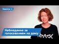 Наблюдение за голосованием на дому. Занятие 6