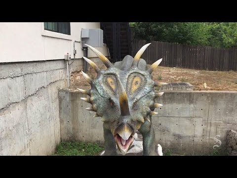 Raising Austin: Inside Jurassic Car Wash - YouTube