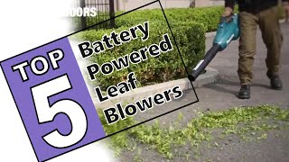 ?The Best Cordless Battery Powered Leaf Blowers Of 2021 - Top 5 Review Guide