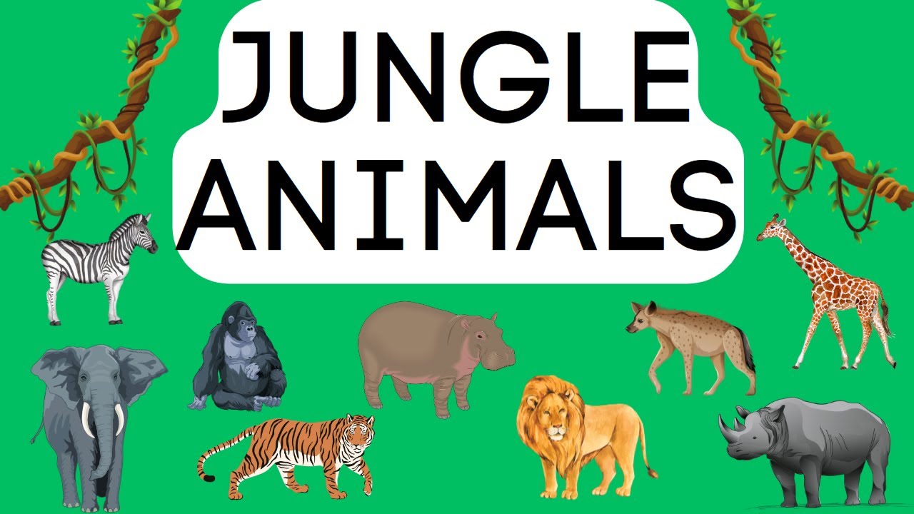 JUNGLE ANIMALS for KIDS - Educational video 