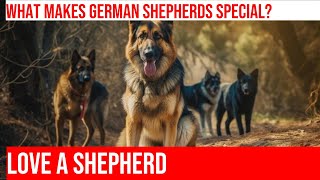 The Amazing Bond of a German Shepherd: A Love Story by Happy Hounds Hangout No views 6 days ago 3 minutes, 57 seconds