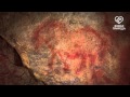 Живая природа, пещера Шульган-Таш (Капова), рисунки