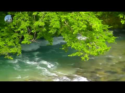 ულამაზესი სოფელი სალხინო | The beautiful village of Salkhino