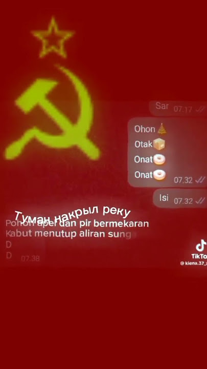 Katyusha indonesia version#ww2 #katyusha