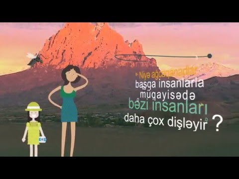 Video: Ağcaqanadlar insanları dişləyir?