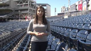NEW NATIONALS PARK: The Nationals Add New Renovations to Nationals Park