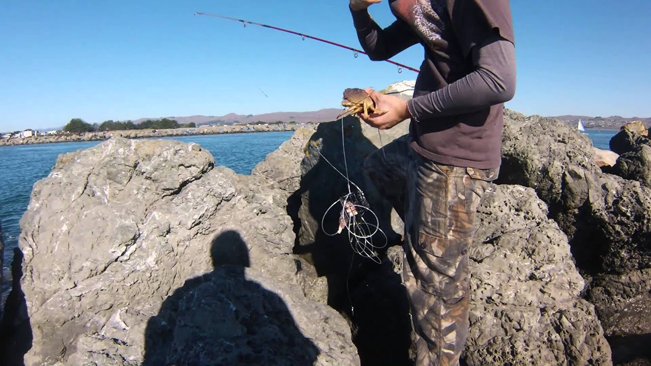 Migo crabbing with fishing rod. YouTube