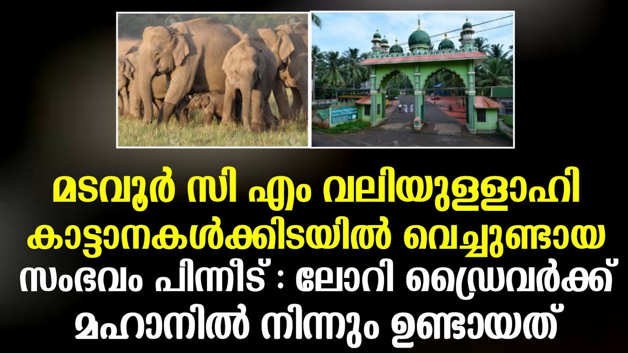 ആര യ ര ന ന സ എ വല യ ള ള ഹ മടവ ർ Cm Valiyullahi Madavoor History Karamath Mafaz Media Youtube