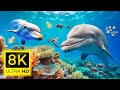 The Best 8K Aquarium for Relaxation 🐠 Sleep Relax Meditation Music - 8K VIDEO ULTRA HD