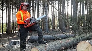 Lumberjack Small Harvester with the best chainsaw, GARDEN AND FOREST